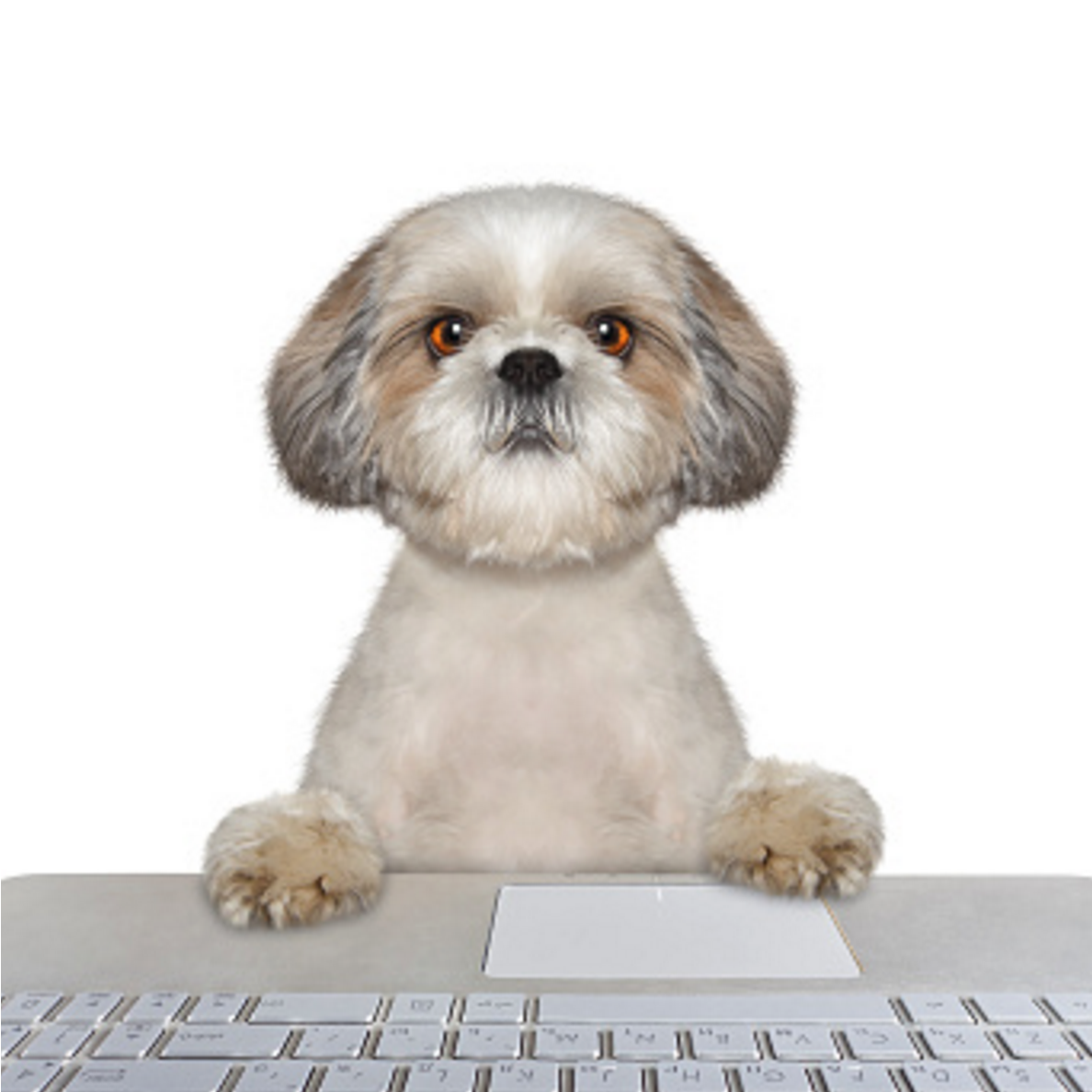 鳥栖パソコン教室ドットコム