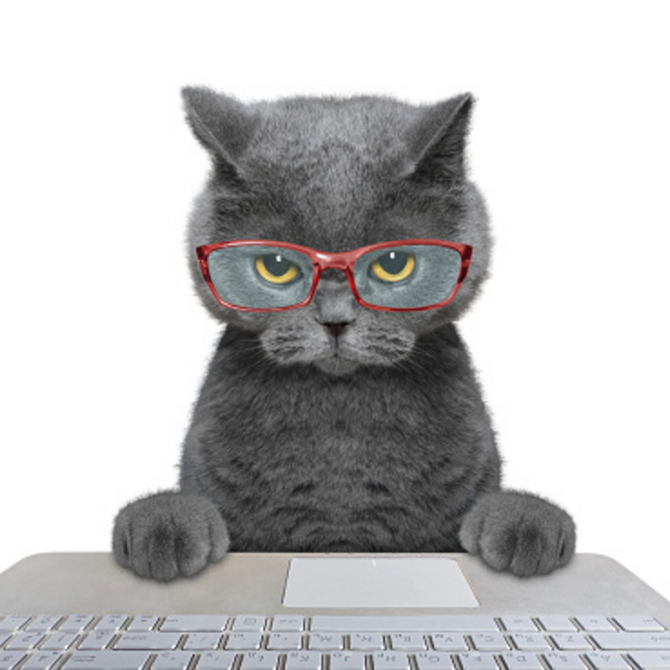 フレスポ　パソコン教室